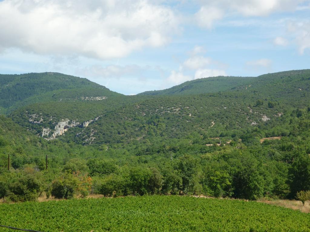 La Fontaine Des Noyers Villa Saint-Saturnin-les-Apt Luaran gambar